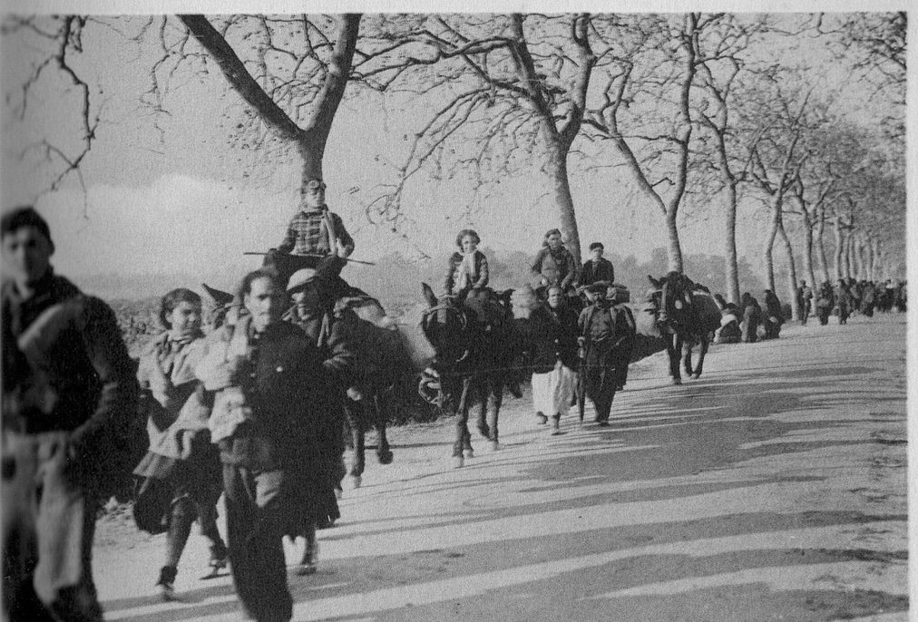Réfugiés de la Retirada avançant à pied et à cheval sur une route bordée d’arbres.